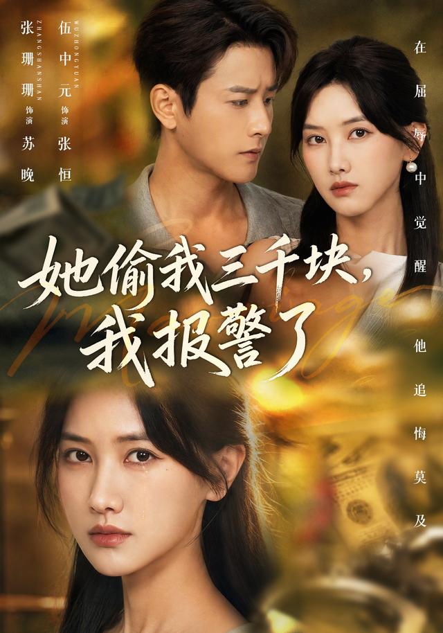 她偷我三千块，我报警了海报